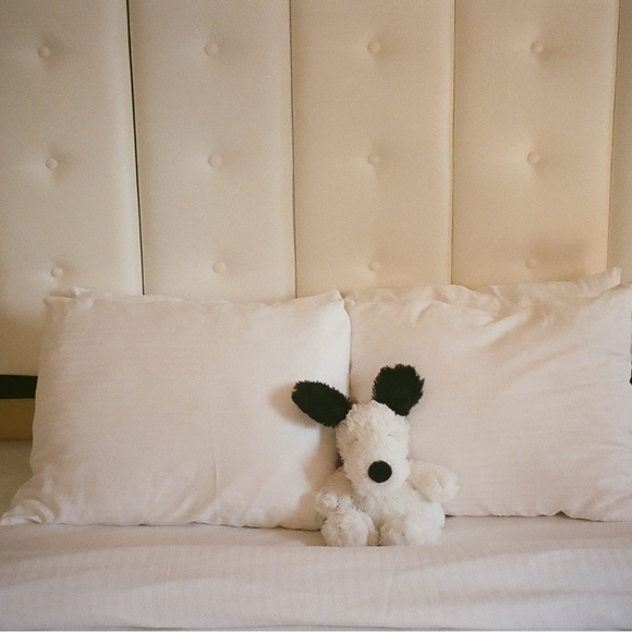 Meet your Posher, M. - Picture 1 of 1